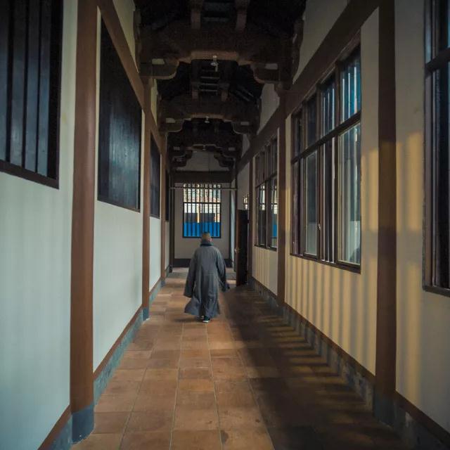 ������ʦ���ǵı�����������