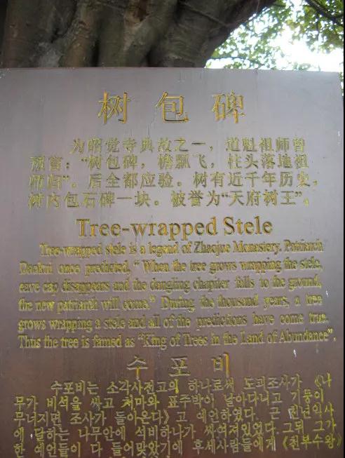 �����ǽ���ʯ���ߵĽ������Ǻ���Ե��Ϊһ��������ɮ��