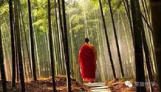 ������ѧ����׵�����