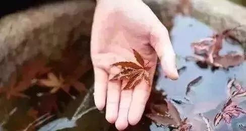 �����˶��������˹�����˼�˷ǣ�������Թ��