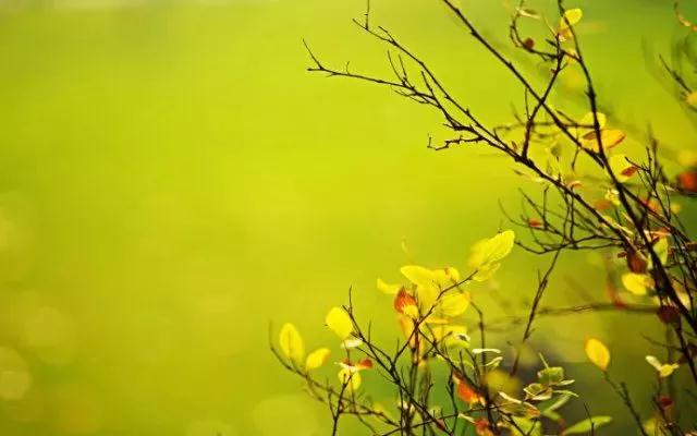 ��ϲŭ������ǰ_������_������_������������