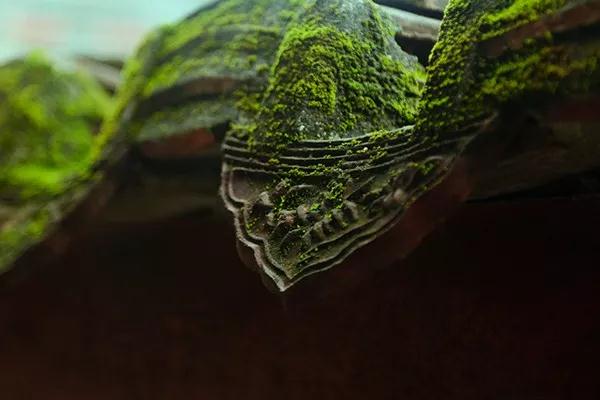 �󰲷�ʦ��������������