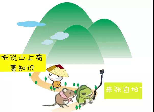 ���ڳ��У���ѡ���ɽ��������ɽ����