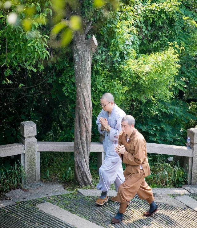 ���ڳ��У���ѡ���ɽ��������ɽ����