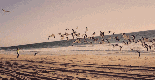 Ψ�м�����ȷ�������İ�����