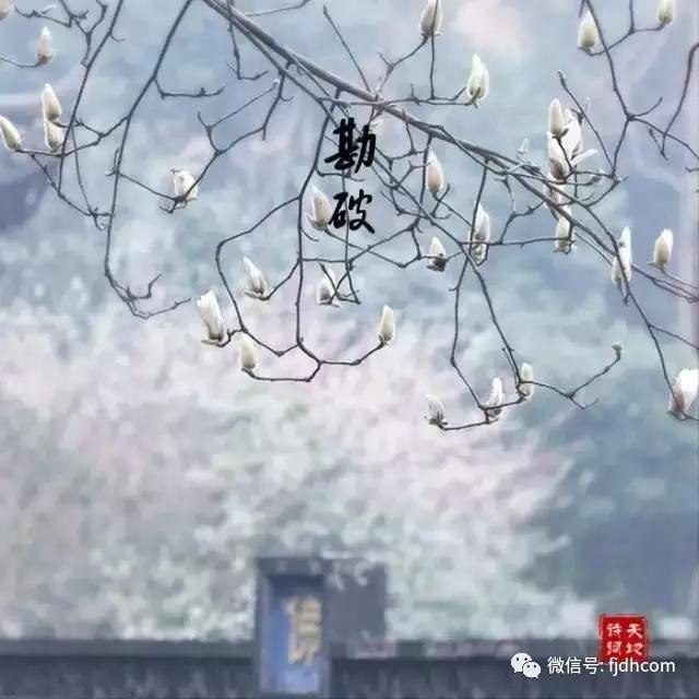 ��˵�ġ�ִ�š������׵ġ���ȡ����ʲô���