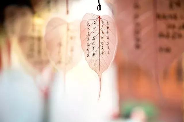 ����ķ���´��������͸��и���������