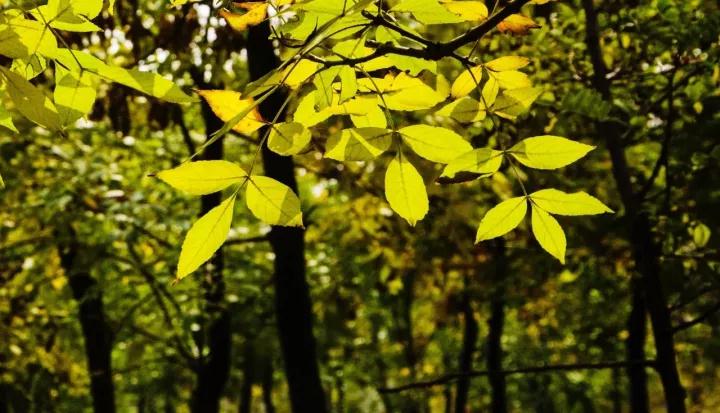 �����������ˣ���һ���˲���ĲŻ�