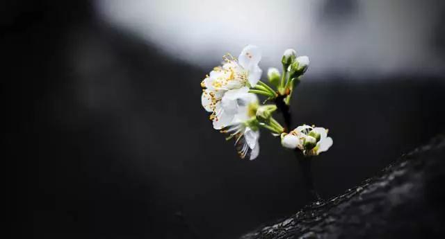 �����ǡ�Ը������Ҫ�����ǡ�ҵ������Ҫ��