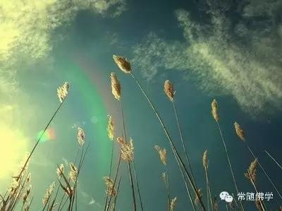 ���˻��»��úñ�����Ҫǧ��С��