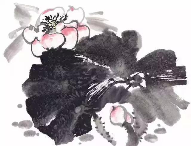 �ж�ĸ�ף���ĸ��𡪺�ɽ��ʦ��ĸ��Ե