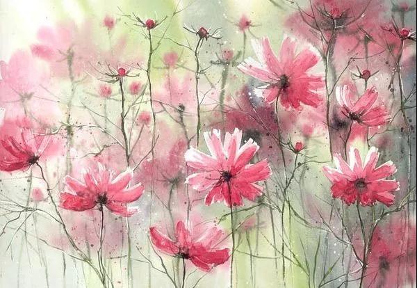 �ǻ۲�ʩ���ջ��Ƹ�