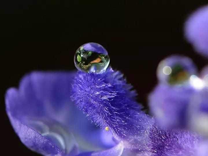 ��ʶ��Ѭϰ��������_|_���������Լ��ķ���ϰ��