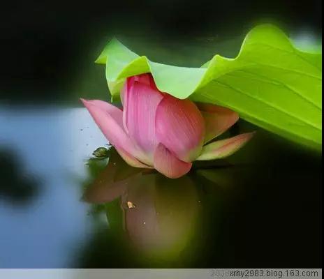 佛法中消除内心痛苦的7种方法 佛法中消除内心痛苦的7种方法