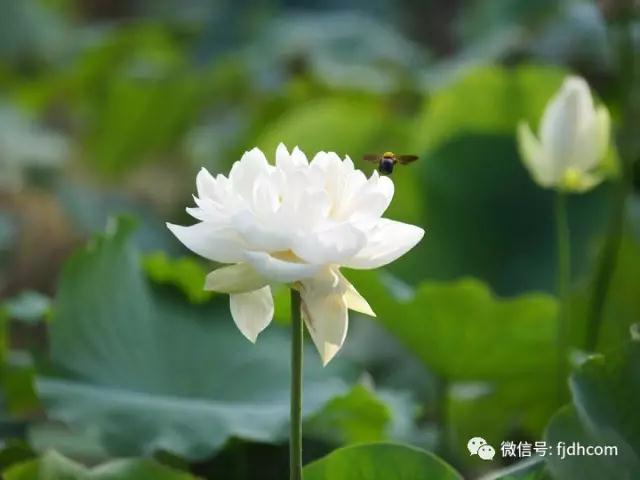 ������_������ͷ_|_���ڶ����³ɹ�������