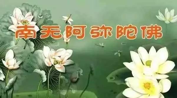 ���������о������ţ���ʹϧ�գ�