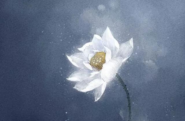 ÿ�챻�����ӵ�����Щ����ʵ�����Լ��ĸ���