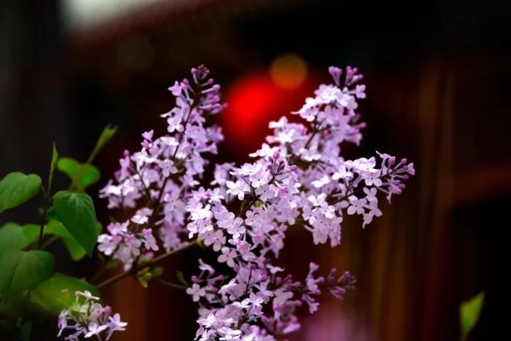 Т����ĸΪ����֮��