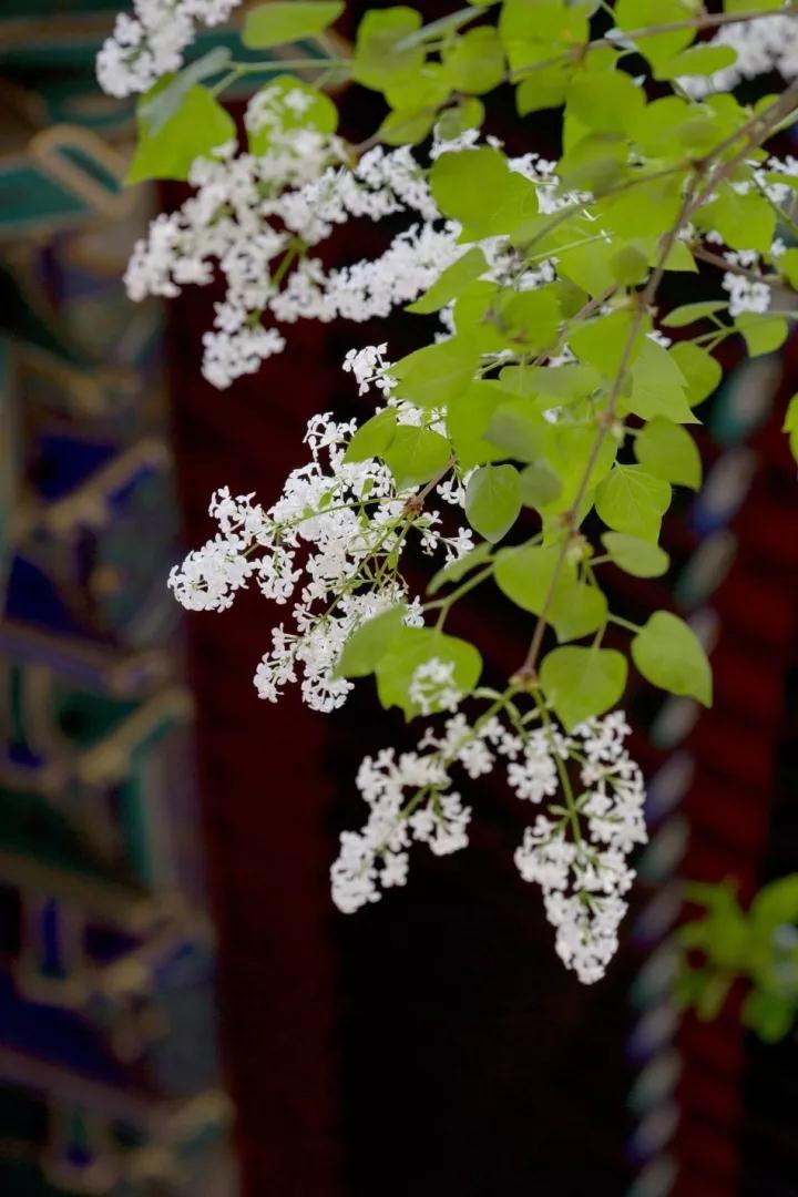 Т����ĸΪ����֮��