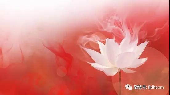 �����������������ĸ��ţ�