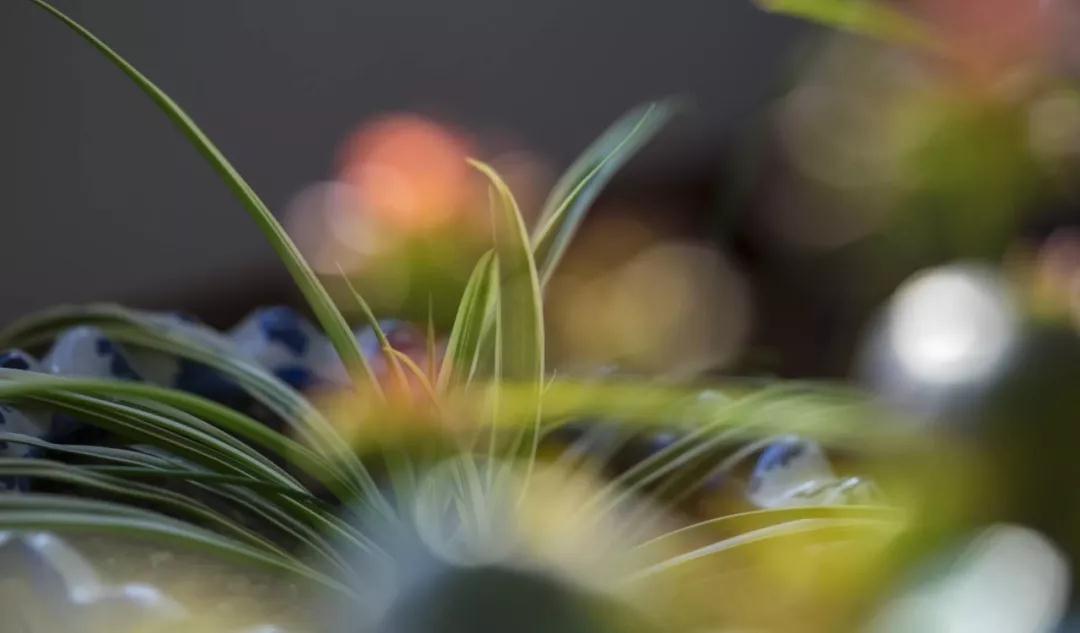 该是你的就是你的,不该是你的不会是你的 该是你的就是你的,不该是你的不会是你的