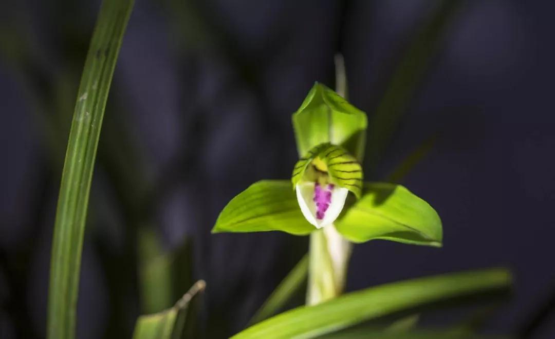该是你的就是你的,不该是你的不会是你的 该是你的就是你的,不该是你的不会是你的