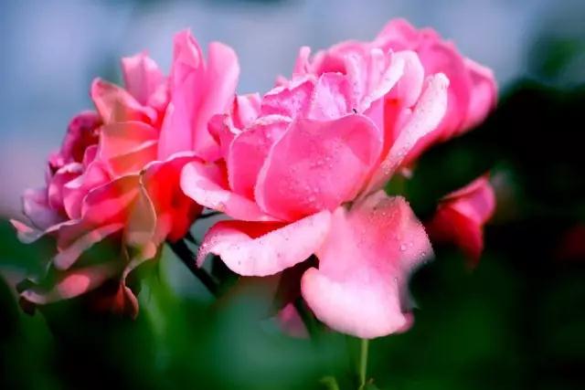 ���������ˣ��Ӳ�����