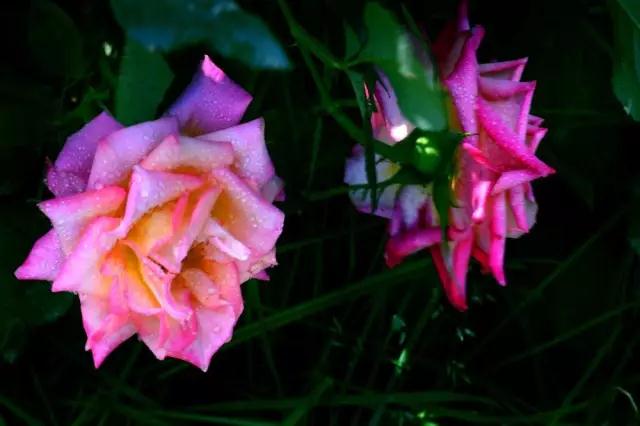 ���������ˣ��Ӳ�����