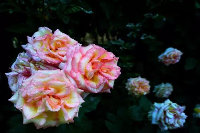 ���������ˣ��Ӳ�����