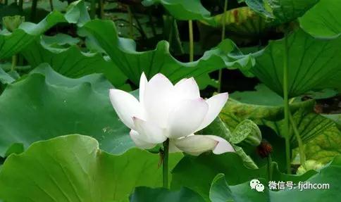 ���֪��һ��Ů�˵ĸ�������