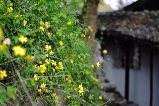 ��Ⱥ��ʦ�ʴ�ʾ_|_׬Ǯ��ѧ��ì����