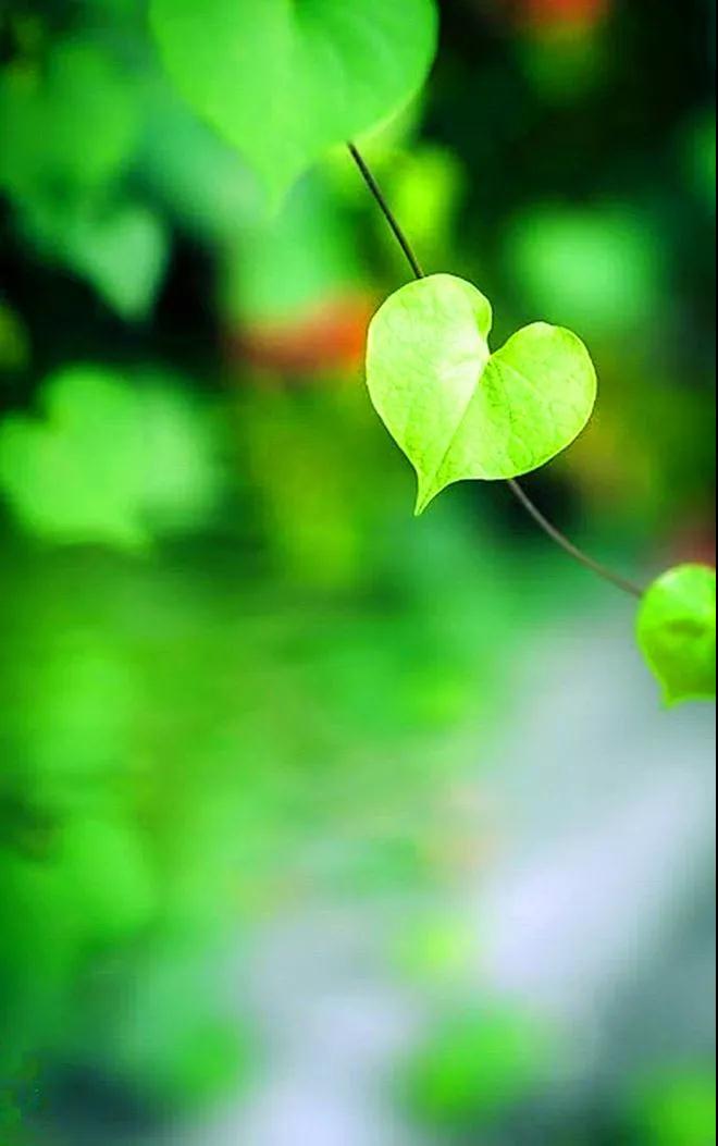 ����������������_��ʵ�����Ǿñ��طꡣ