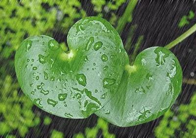 ����������������_��ʵ�����Ǿñ��طꡣ