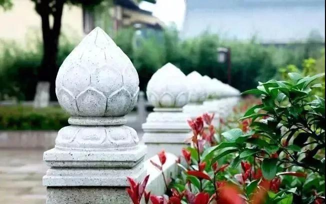 ����������Բ�м�Բ�����м���֮��