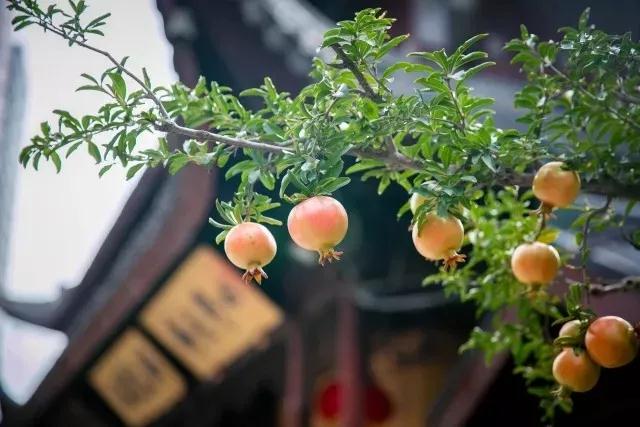 �˿�����ù�ˣ���������ù��