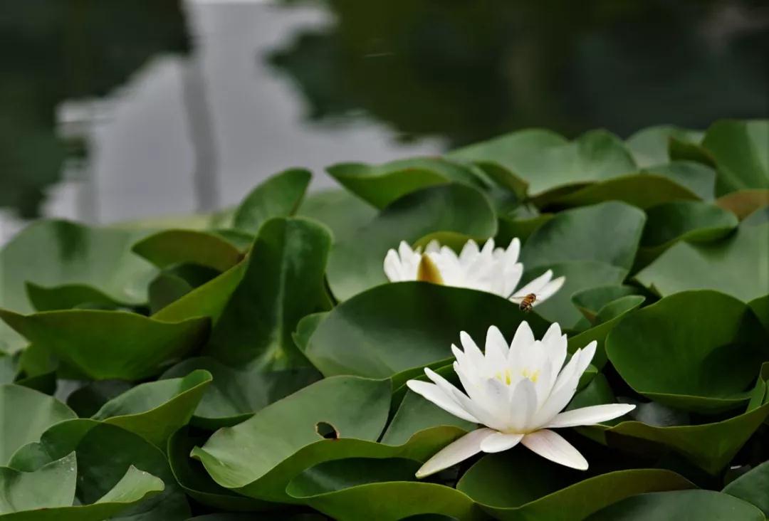 �˿�����ù�ˣ���������ù��