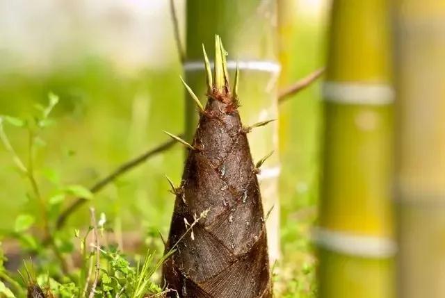 һ�����Ӹ������ǵ�����֮������ν���˵����������Ǻ������