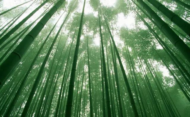 һ�����Ӹ������ǵ�����֮������ν���˵����������Ǻ������