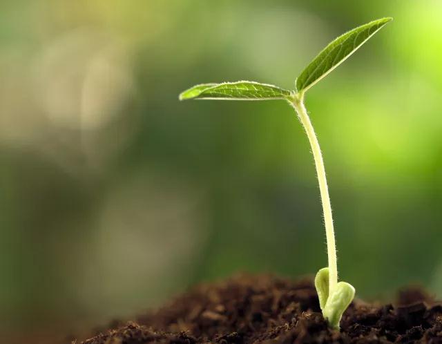 һ�����Ӹ������ǵ�����֮������ν���˵����������Ǻ������