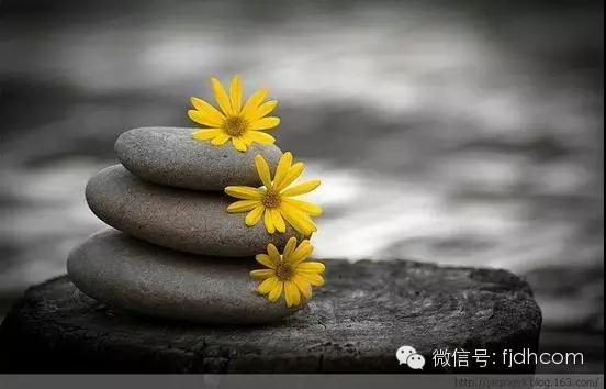 һ��һ���޷�ǰ����һ��һ�нԳ����֣�