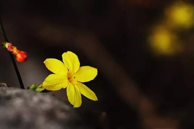 �������ܡ�͸֧����Ҫ���㸣�������յ�ʱ����