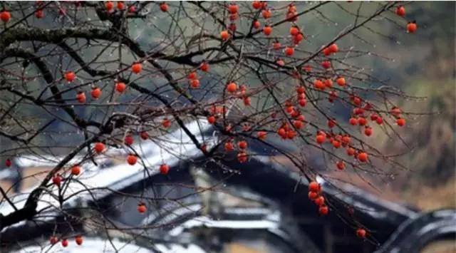 ���������в�ֻ��ɽ�ϣ�Ҳ��ֻ������~