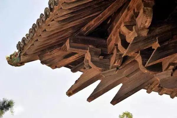 ����1200�������������10�ꡰ�չء����ݱ��ˣ�