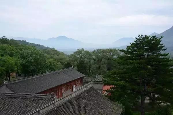 ����1200�������������10�ꡰ�չء����ݱ��ˣ�