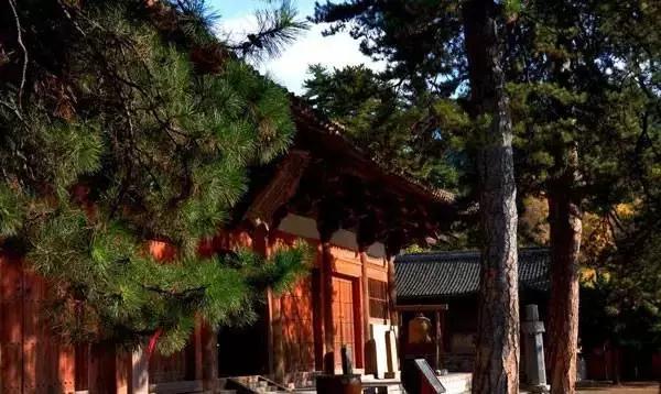 ����1200�������������10�ꡰ�չء����ݱ��ˣ�