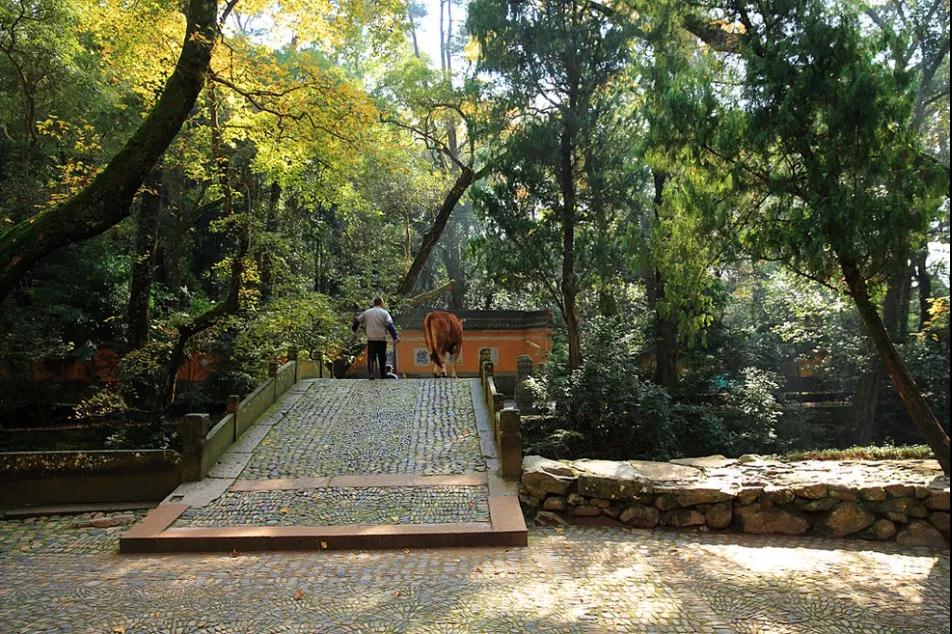 ��̨�н̵�������ʤ_|_��������������򵥻�