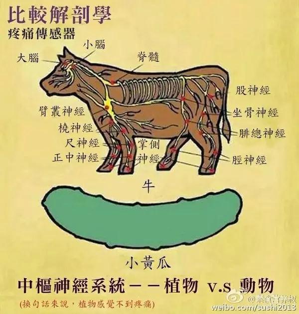 ��Ȼֲ��Ҳ��������Ϊ�γ��ز���ɱ����