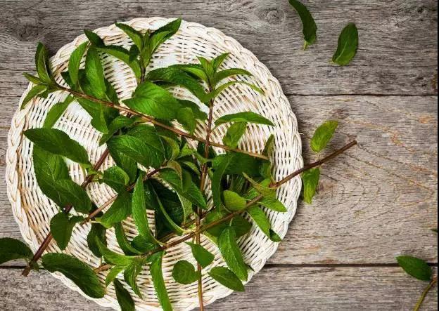 ��Ȼֲ��Ҳ��������Ϊ�γ��ز���ɱ����