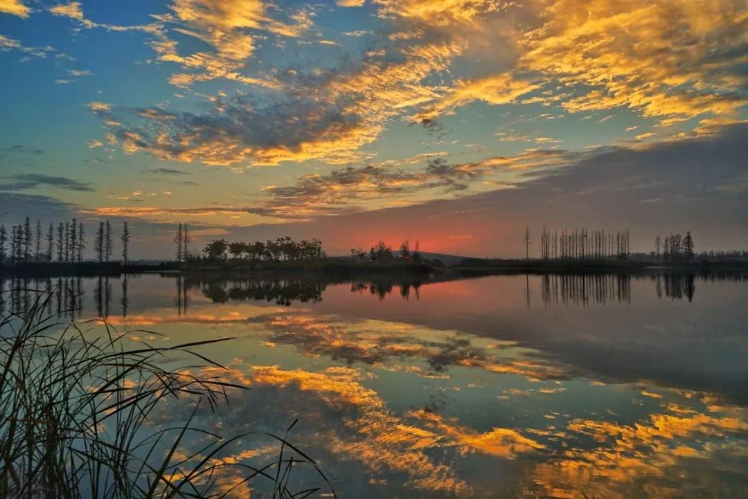 ��ʶ_|_�Ʒ���ʲô��˼��ΪʲôҪ�����ƣ�