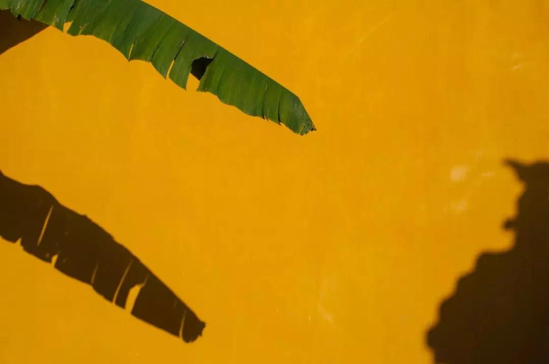 Ū�������������⣬���㽨���������ķ�����